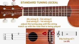 Best Online Ukulele Tuner - Trợ giúp chỉnh dây Ukulele Tốt Nhất